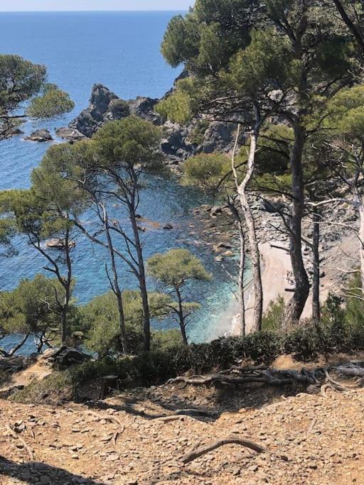 Apartamento Petite Endroit Splendide. Six-Fours-les-Plages Exterior foto
